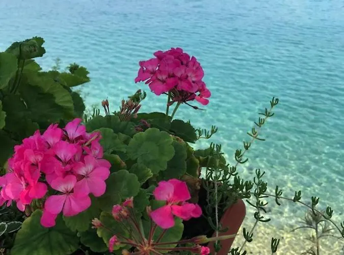 Zeytindali Ξενοδοχείο *