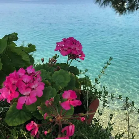 Zeytindali Hotel *